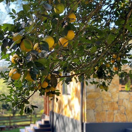 Casa De Campo Fichtelberger Hohenau المظهر الخارجي الصورة