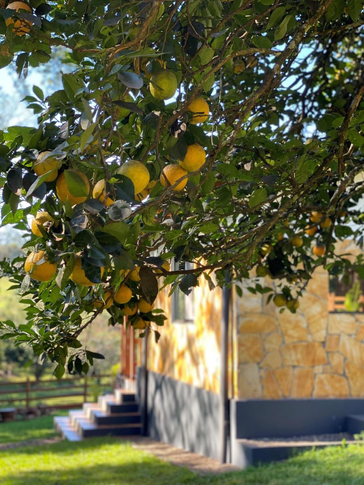 Casa De Campo Fichtelberger Hohenau المظهر الخارجي الصورة